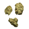 Ray-K 41 Strain - Image 3