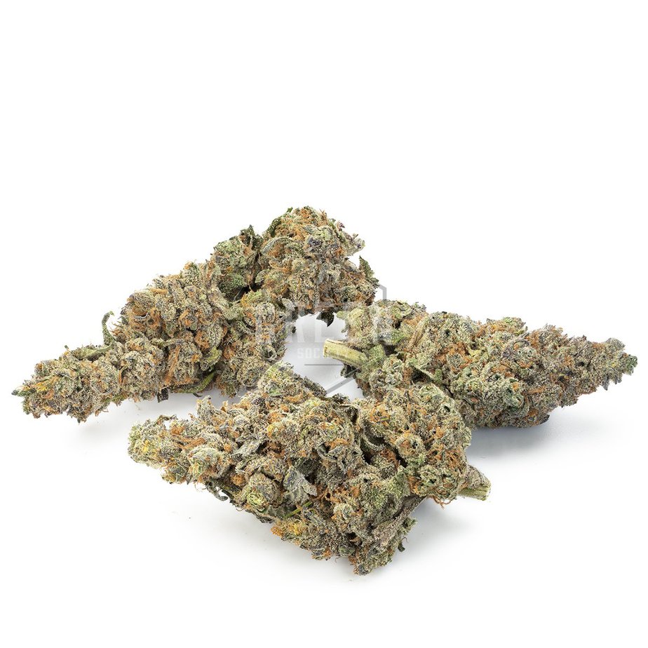 Buy Candyland Stain Online US